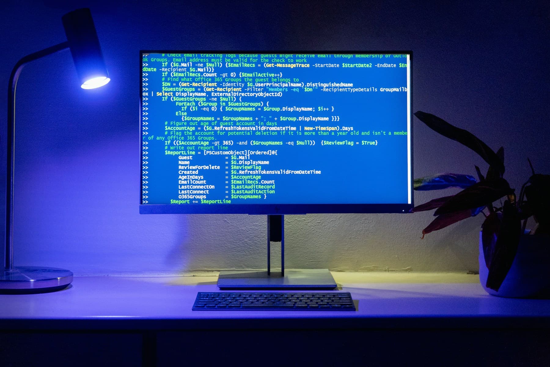 Development code running on a desktop monitor